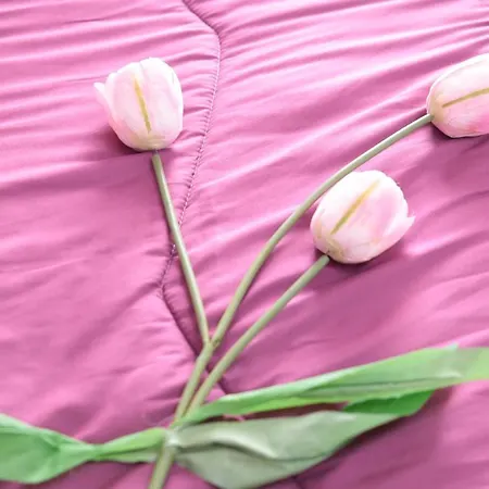 Magma B&B 에르콜라노