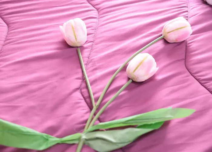 Magma Bed & Breakfast Ercolano